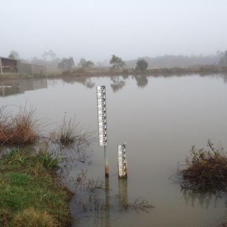 Wetlands back to normal levels
