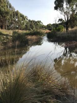 doggetts bridge pool 20meters down stream