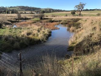 doggetts bridge 50meters downstream