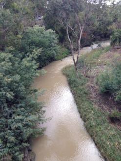 looking upsteam from Blyth St road bridge