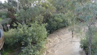 Merri Creek, upstream from Blyth St Bridge