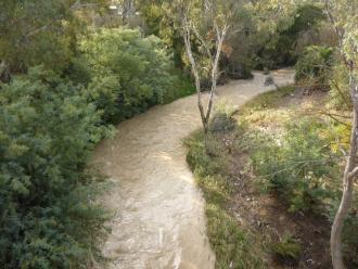 Merri CReek, upstream Blyth St Bridge