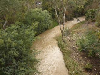 Merri Creek at Blyth St Bridge