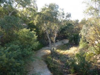 Merri Creek Blyth St upstream