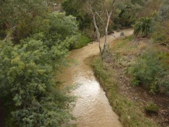 Merri Creek  upstream of Blyth Street