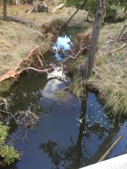 upstream