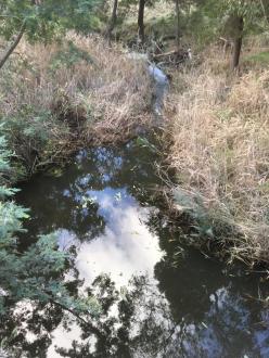 downstream
