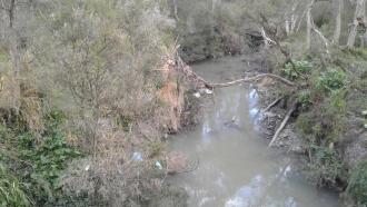 Litter caught on fallen branches