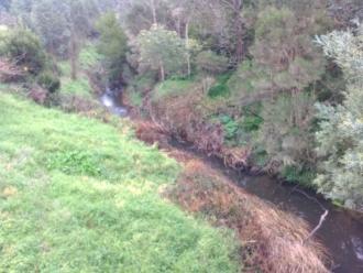 View from bridge looking north