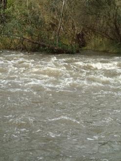 Rocky area near anabranch, a few days after about 30mm rain fell. Shows raised water level.