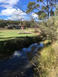 5 Mile Creek Reserve Downstream