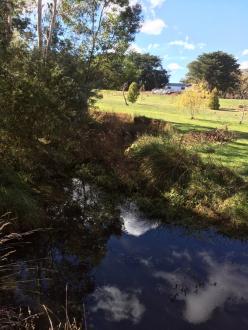 5 Mile Creek Reserve Upstream