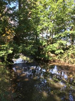 5 Mile Creek Children's Park Upstream