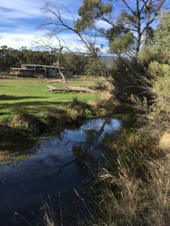 5 Mile Creek Reserve Downstream