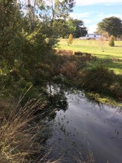 5 Mile Creek Reserve Upstream