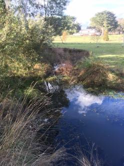 5 Mile Creek Reserve Upstream