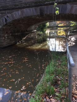 5 Mile Creek Childrens' Park Downstream