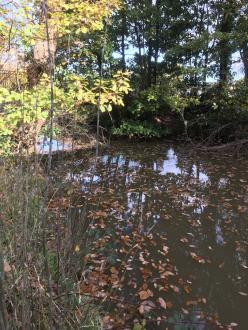 5 Mile Creek Childrens' Park Upstream