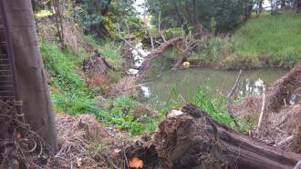 Looking downstream. Very rubbishy. Old flood debris in LH corner