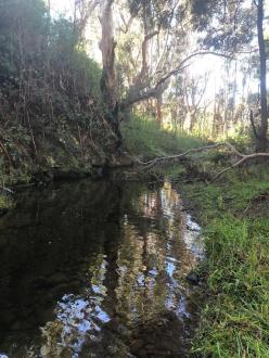 view downstream