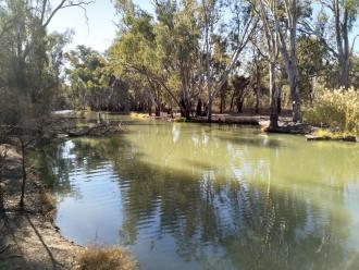 Down stream
