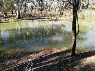 Site