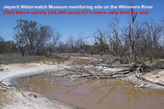 Jeparit Waterwatch Museum site, at hightest salinity reading , river is brown, in Feb it was pink, note dieing trees, compare with June 1995, jan 2000, Oct 2005, Photos Jeanie Clark