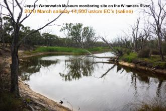 Jeparit Watewatch Museum from north bank after return of water spring 2009,  note big branch over river submerged , lots of dead trees, invasion of phragmites, running water cf photos Mar and June 2009, Jan Feb Mar 2008, Oct 2005, May 2000, June 1995  Pho