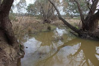 Down stream