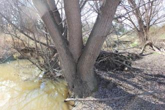 Upstream