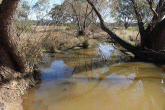Down stream