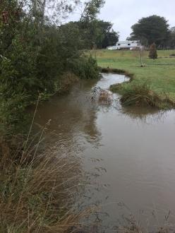 Five Mile Creek Reserve Upstream