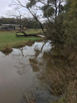 Five Mile Creek Reserve Downstream