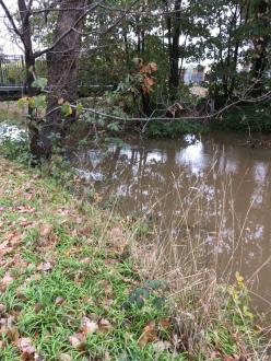 Five Mile Creek Childrens Park Upstream