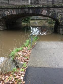 Five Mile Creek Childrens Park Downstream