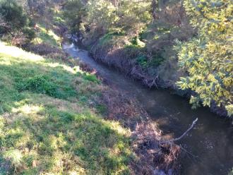 View north from bridge