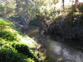 View north from under bridge