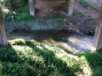 View of creek from under bridge looking east