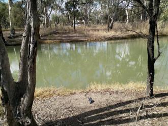 Site