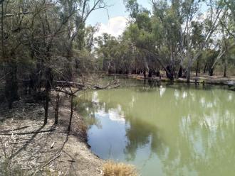 Down stream