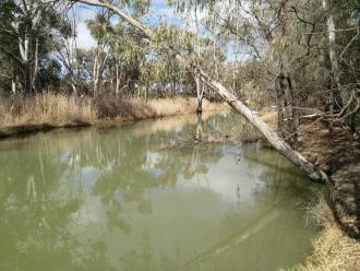 Up Stream