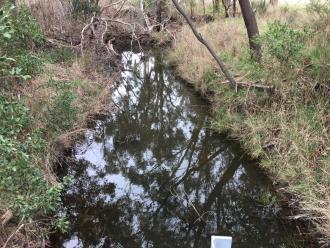 Garden Hut Creek at Henneberg Bridge