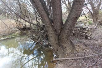 Upstream