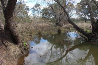 Down stream