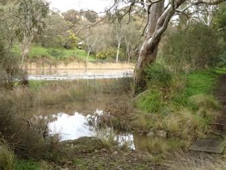 Anabranch, opposite the car park close to the WW testing site in Highton.