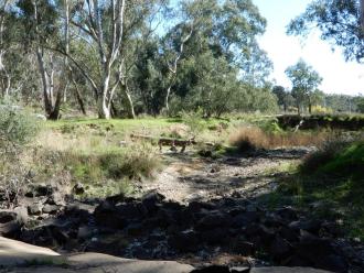 looking downstream