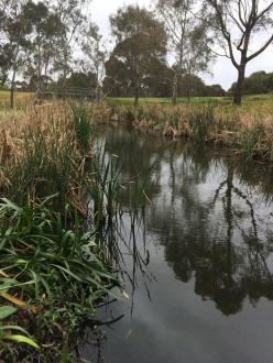 upstream