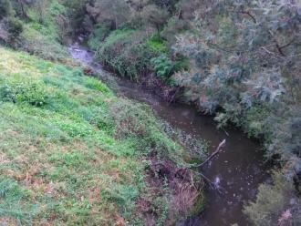 View north from bridge