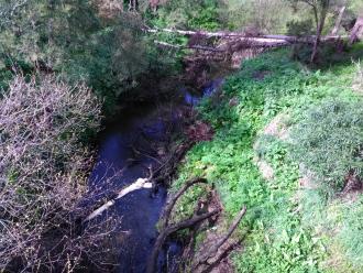 View south from bridge