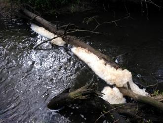 Foam/froth in creek south of bridge